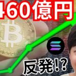 ビットコイン4,460億円。反発のシグナル