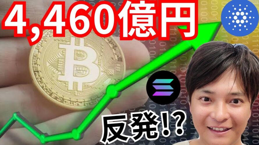 ビットコイン4,460億円。反発のシグナル