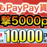 8月もPayPayポイント大量‼︎視聴者還元キャンペーンも！