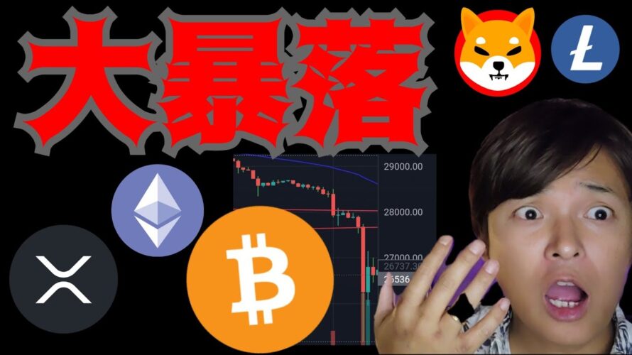 大暴落！ヤバい原因。リップル裁判。何円まで下落？(仮想通貨 BTC ETH XRP BCH SHIB LTC ドル円 相場分析)