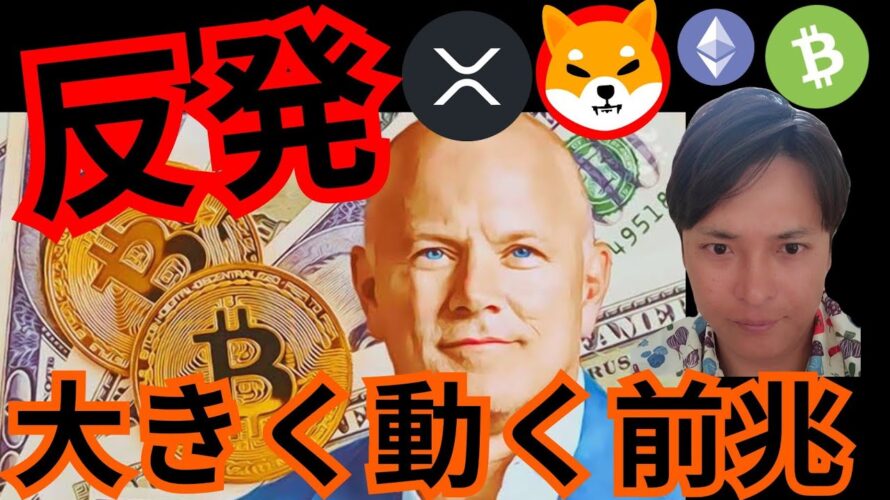 【反発】ビットコイン、大きく動く前兆。ETF承認は間近?(仮想通貨情報+BTC ETH XRP SHIB BCH 相場分析)