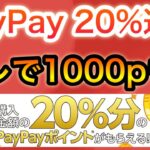 PayPay 20%還元‼︎＆PayPayくじも今日から‼︎