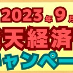 【要エントリー】100万ポイント山分け、20％還元あり９月も楽天ペイ、楽天カード、楽天ポイントカードでお得が満載！！