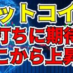 【仮想通貨 ビットコイン】おはウヒョ～！ 久々の気持ちいい朝になりました（朝活配信1226日目 毎日相場をチェックするだけで勝率アップ）【暗号資産 Crypto】
