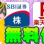 🌻1株ポイ活の時代がきた！🌍SBI証券と楽天証券で国内株売買手数料無料化！🤖ポイ活 おすすめ 投資信託 株取引