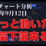 2023年9月12日ビットコイン相場分析