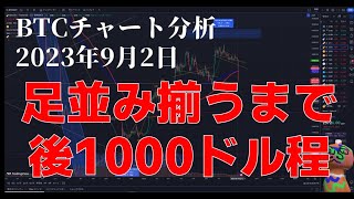 2023年9月2日ビットコイン相場分析