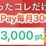 今月から毎月3000p貰える…⁉︎【PayPay】