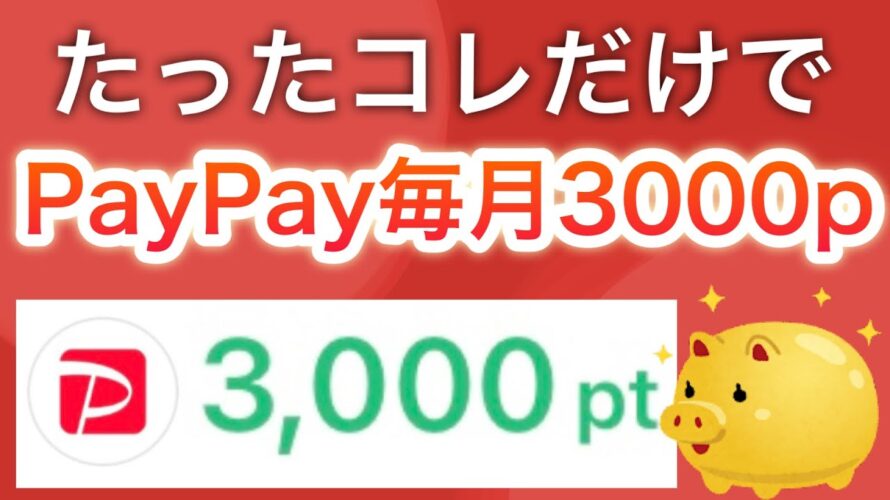 今月から毎月3000p貰える…⁉︎【PayPay】