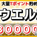 ウエル活の攻略方法　総額30万ポイント　お金を掛けずに大量のTポイント/WAON POINTを貯める方法