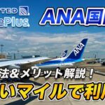 【活用法】ユナイテッド航空のマイルでANA国内線をお得に利用出来ます！