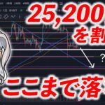 ビットコイン/BTC 25,200ドルを割るとここまで落ちる！