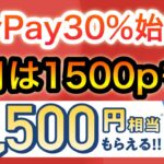 今月のPayPayやばすぎ…