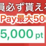 これは話題になる予感…【PayPay必ず】