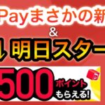 【PayPay新発表】コレは期待できる…‼︎