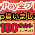 これは流石にやりました…‼︎【PayPayポイント】