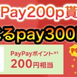 コレは隠れ神案件かも…‼︎【PayPay】