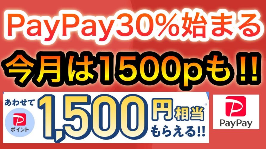 今月のPayPayやばすぎ…