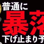 普通に暴落しました📉下げ止まりラインを月足から予測