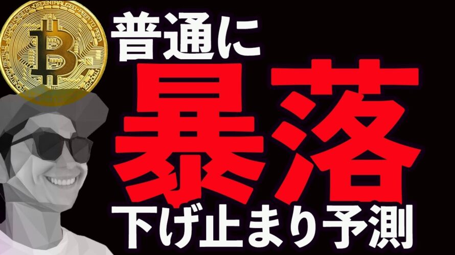 普通に暴落しました📉下げ止まりラインを月足から予測