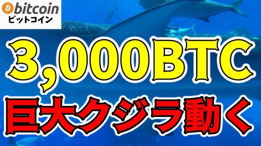 【仮想通貨 ビットコイン】6年間休眠状態のクジラが動いたことで敏感に反応する市場(朝活配信1260日目 毎日相場をチェックするだけで勝率アップ)【暗号資産 Crypto】