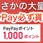 【大量追加】PayPayポイントが貰えるキャンペーン‼︎コレは参加するべき…