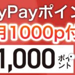 この新キャンペーン激アツすぎる…‼︎【PayPay】