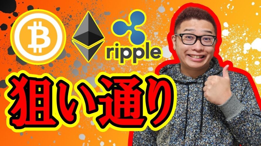 【 #ビットコイン & アルトコイン 分析】狙い通りの意識ライン!! #bitcoin #btc