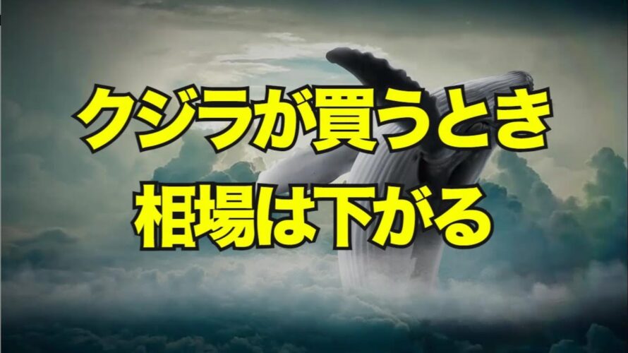 クジラが買うとき相場は下がる