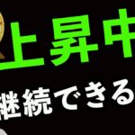 ビットコイン上昇シナリオ期待できる⁉️最新見通しチェック👀