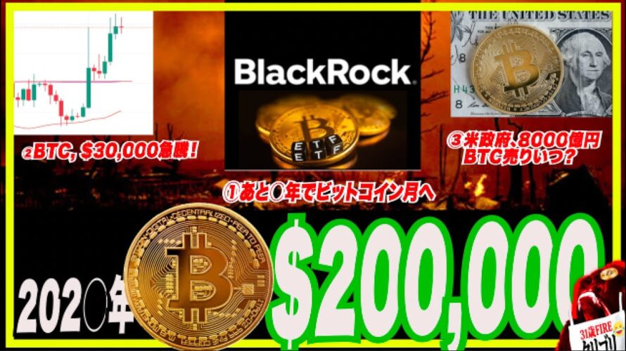 【号外: 億り人w】ビットコイン, 202○年$200,000? Bitcoin$30,000急騰!イノベーションSカーブ先行者利益?レッドピル教室「バランス・旅行とパーソナルハピネス」