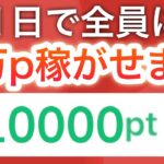 【ガチ】コレをやれば全員10000ポイント貰えます…‼︎