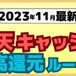 【最新】2023年11月楽天キャッシュの高還元ルートを分かりやすく解説します。androidで2.2%、iPhoneで2.5%還元！楽天ペイや楽天証券で使える。