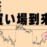 【仮想通貨ビットコイン/BTC】買い場に備えよ