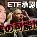 ビットコイン暴落の可能性？ETF承認まで上昇は続くのか？