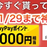 コレ貰わないと絶対後悔する…‼︎【PayPay】