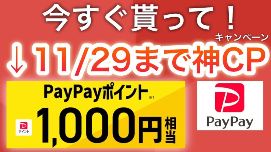 コレ貰わないと絶対後悔する…‼︎【PayPay】