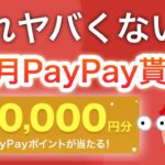 毎月PayPay貰えるキャンペーンがヤバい…‼︎