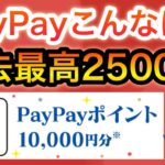 【まさか】PayPay貰えすぎるボーナスタイム突入！？！？