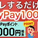 PayPayコレで1000pは配りすぎでしょ…‼︎