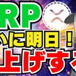 【XRP】リップルに明日何かが起こる？｜ビットコインなぜ下落？｜イーサリアム2000ドルへの道｜Solana,Avalanche