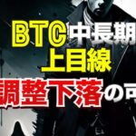 ビットコインは中長期では上目線も、足元で調整下落の可能性