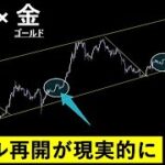 バブルに向けての強気な兆候【ビットコイン ＆ ゴールド】