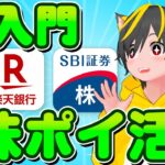 🌱【元祖永久機関】🌸ポイ活民全員やるべき！🥕1株ポイ活超入門！🌻ポイ活 おすすめ SBI証券 楽天証券