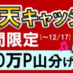 楽天スーパーセールや楽天ペイで利用！楽天キャッシュ購入→楽天ポイント山分け☆キャンペーンでお得にチャージ♪(12/4～12/17)