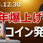 暗号資産大賞。2024年に爆上げるコインはこれだ