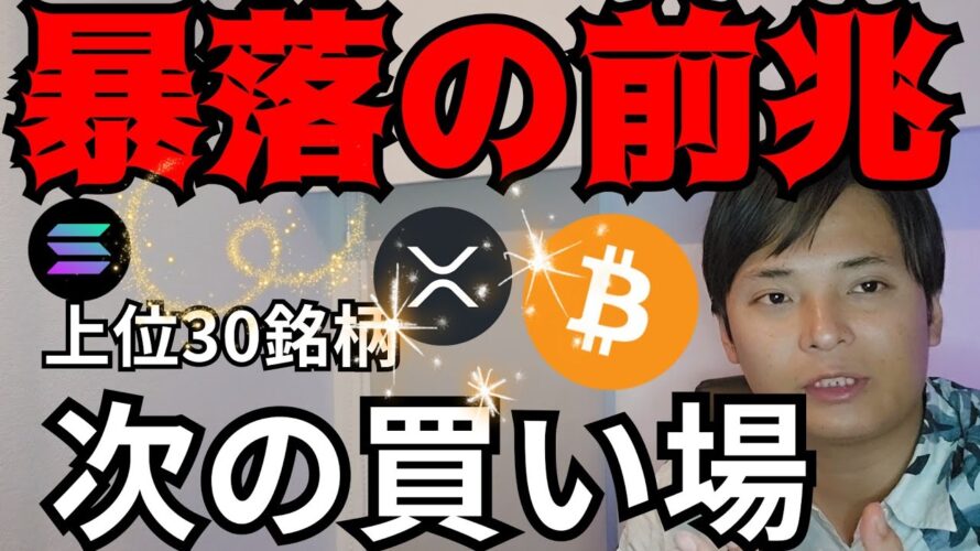 仮想通貨、暴落の前兆！上位30コインの『次の買い場』を解説