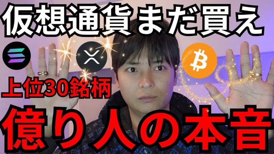 ㊗️８万人🎉仮想通貨まだ買え！バブルこれから！上位30コインの『億り人の本音』