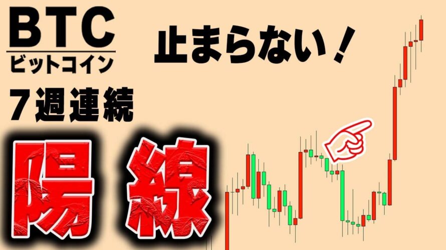 【仮想通貨ビットコイン/BTC】年末は45,000ドル?週末の稼ぎ方