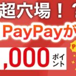 【穴場】これでPayPayポイントもらえるやん…‼︎